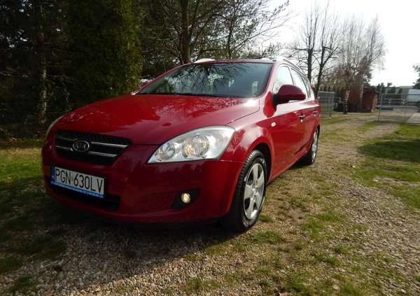 Kia Ceed cena 14999 przebieg: 118000, rok produkcji 2008 z Gniezno małe 352